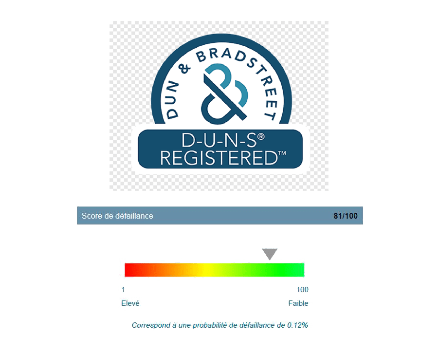 score dnb customer -square